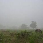 La Niebla: Un Fenómeno Meteorológico Explicado