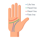 significado de las lineas de las manos