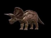 Descubriendo las Curiosidades de los Triceratops - 51 - febrero 19, 2023