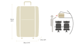¿Cómo saber si una maleta es de 20 kg?