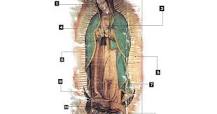 ¿Cómo se llaman las estrellas de la Virgen de Guadalupe?