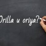 Explorando la Costa: Explorando Sinónimos para la Palabra Orilla