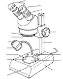 ¿Cuáles son las partes de la lupa binocular?