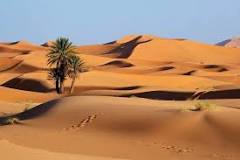 ¿Cuáles son los 7 desiertos más grandes del mundo?