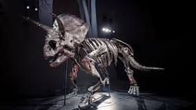 ¿Cuánto tiempo vive un Triceratops?