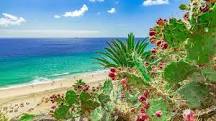 ¿Dónde está Aguas Verdes en Fuerteventura?