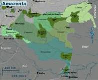 ¿Dónde está ubicada la llanura amazónica?