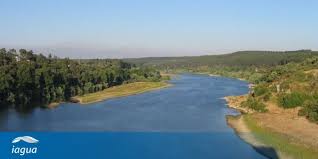 ¿Dónde nace el río Tajo y donde muere?