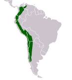 ¿Dónde se encuentra la ubicación de la Cordillera de los Andes?