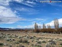 ¿Qué animales viven en la estepa argentina?