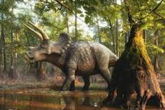 ¿Qué costumbres tienen los Triceratops?