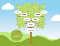 ¿Qué es el árbol genealógico de la psicologia?