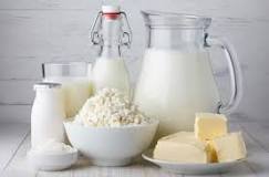 ¿Qué es el yogur ecologico?