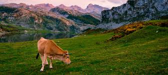 ¿Qué es lo más bonito de ver en Asturias?