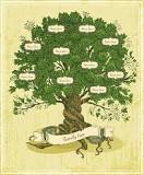 ¿Qué es un árbol genealógico profesional?