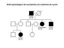 ¿Qué es un árbol genealógico profesional?