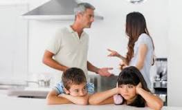 ¿Qué importancia tiene entender a la familia como grupo social al momento de proponer una explicación de sus problemas?