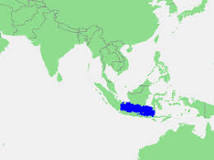 ¿Qué país pertenece la isla de Java?