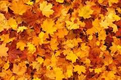 ¿Qué palabras se relacionan con el otoño?
