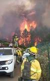Incendio en Tenerife: El Desastre - 3 - febrero 19, 2023