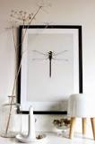 ¿Qué significa cuando te encuentras una libélula negra?