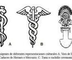 La Marca de un Hospital: El Significado del Símbolo