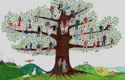 ¿Qué tipo de información es la que se proporciona el árbol genealógico?