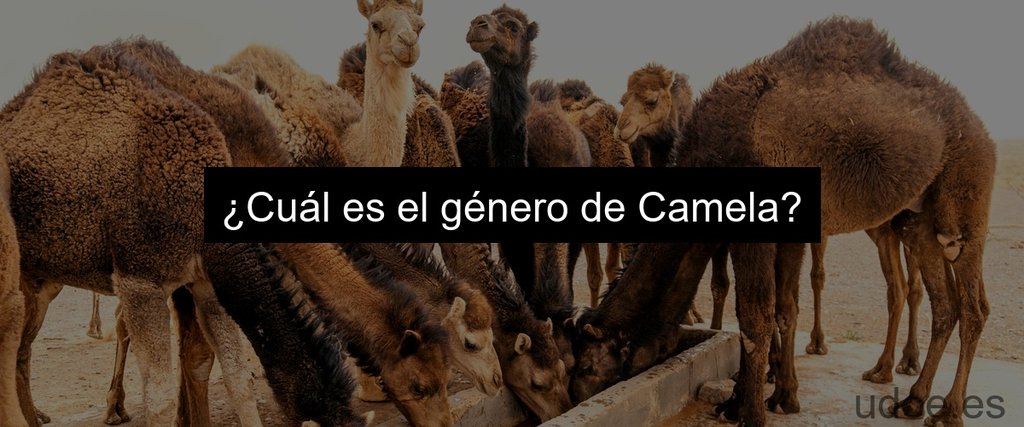 ¿Cuál es el género de Camela?