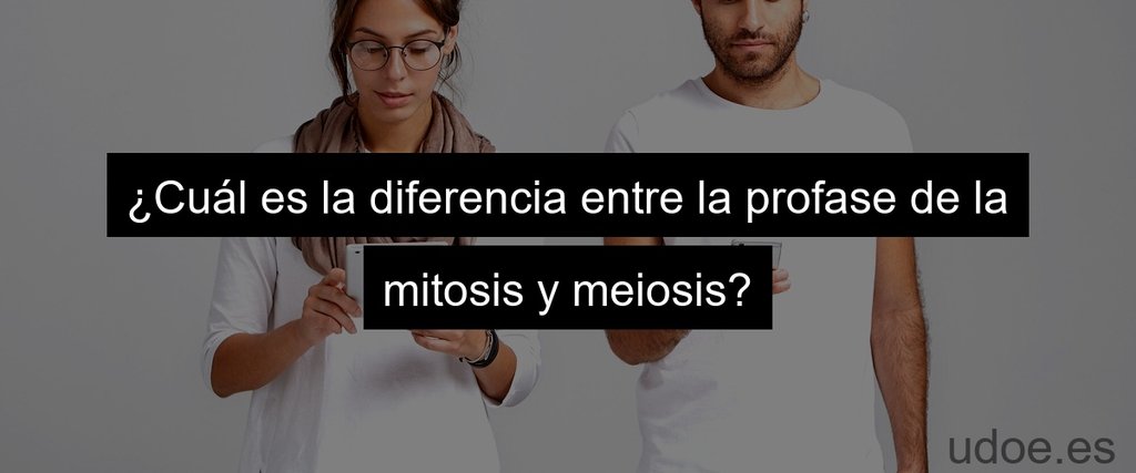¿Cuál es la diferencia entre la profase de la mitosis y meiosis?