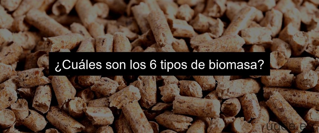 ¿Cuáles son los 6 tipos de biomasa?