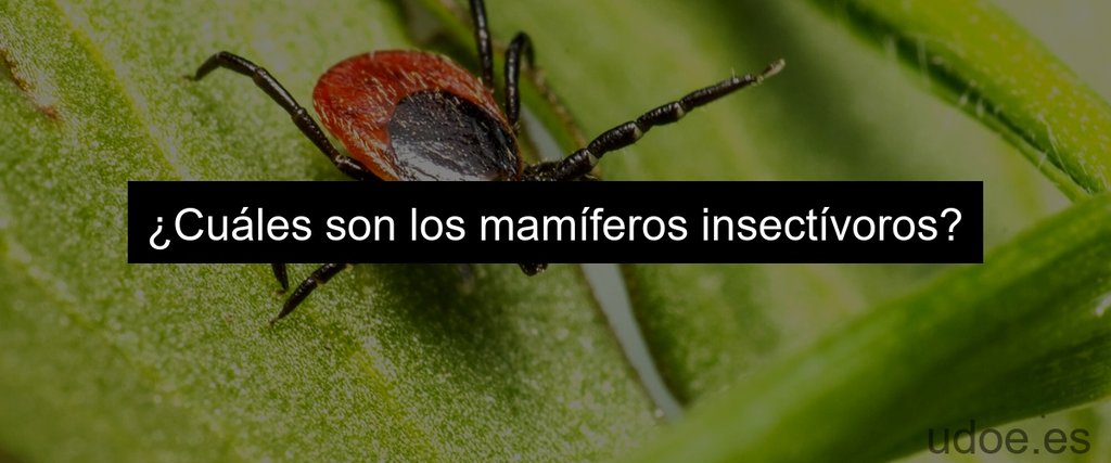 Animales insectivoros: depredadores de insectos - 39 - diciembre 25, 2023