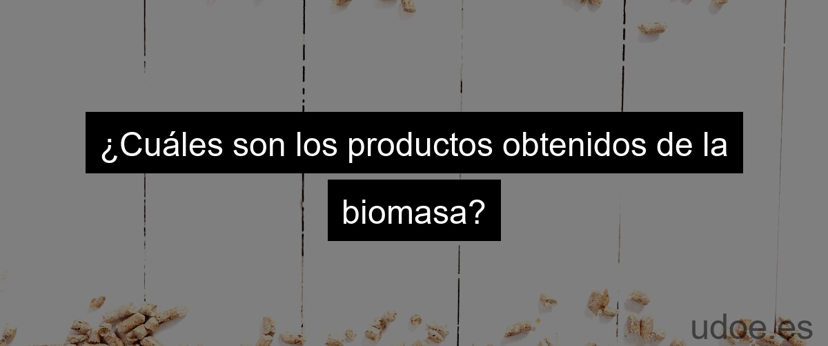¿Cuáles son los productos obtenidos de la biomasa?