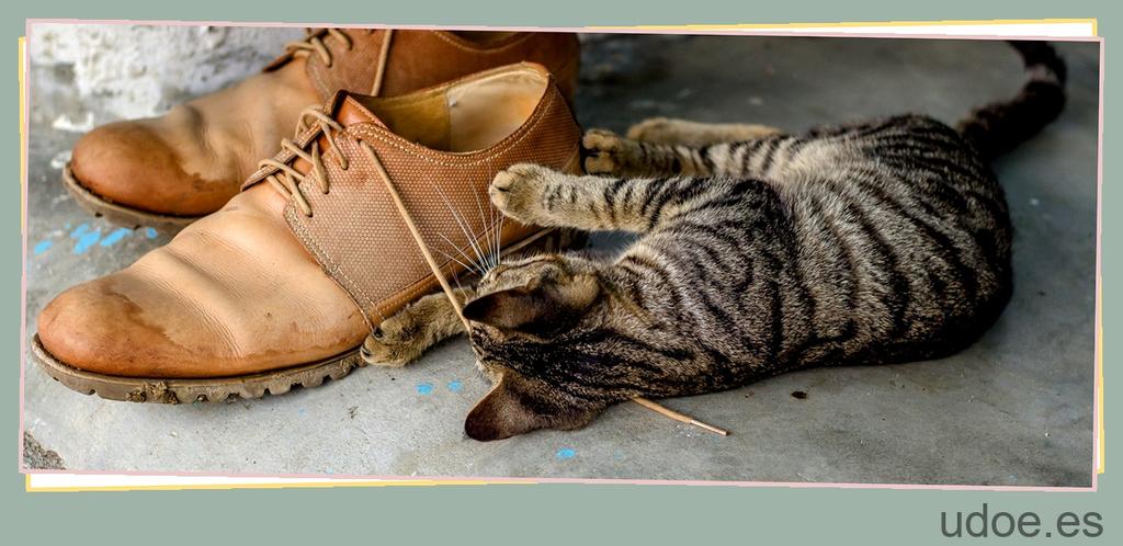 el gato con botas origen