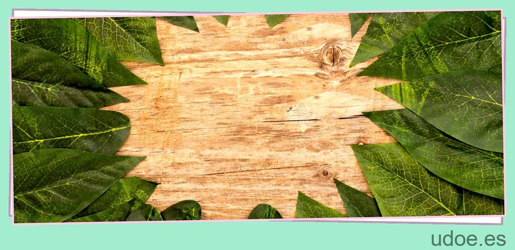 Descubre las presentaciones comerciales de la madera natural