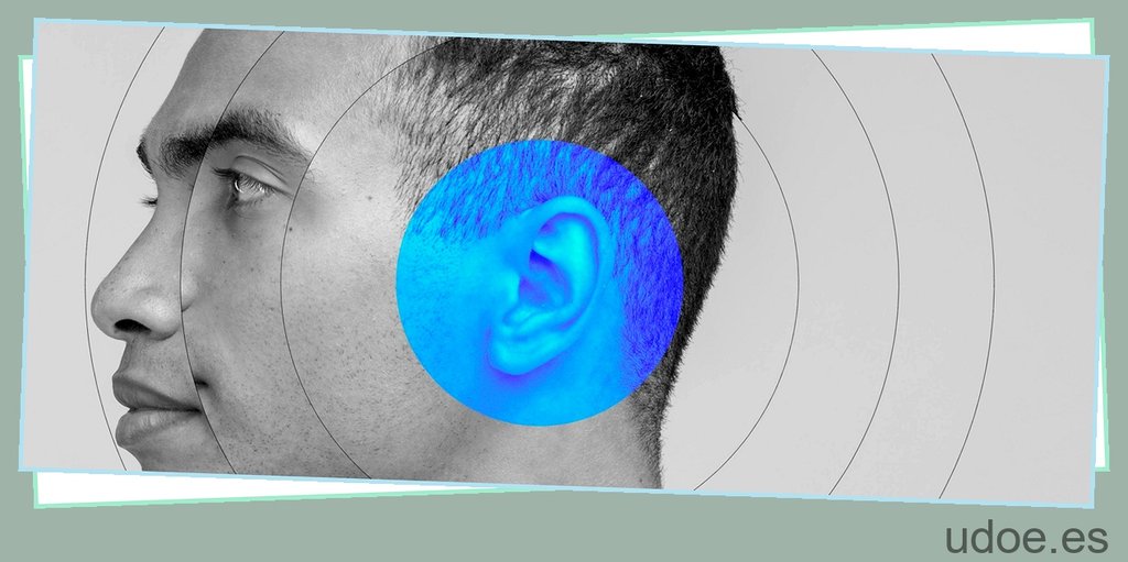 La diferencia entre oído y oreja: todo lo que debes saber - 26 - agosto 23, 2023