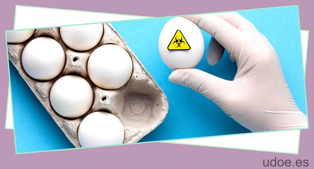 El pH del huevo: ¿qué debes saber? - 3 - agosto 20, 2023