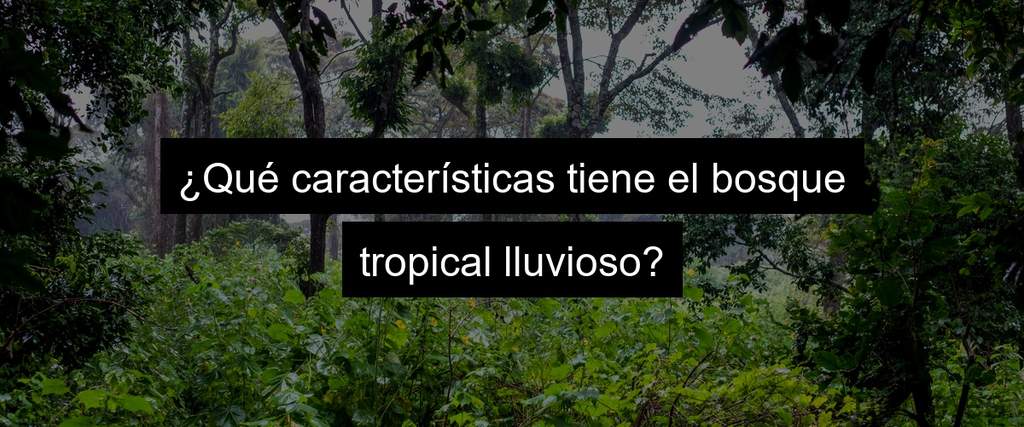 ¿Qué características tiene el bosque tropical lluvioso?