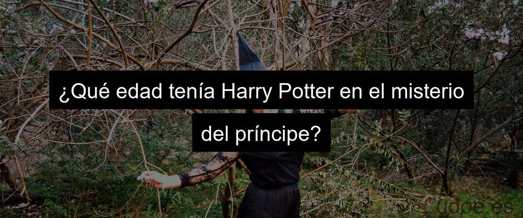 ¿Qué edad tenía Harry Potter en el misterio del príncipe?