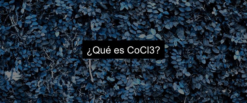 ¿Qué es CoCl3?