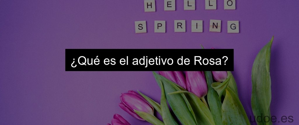 ¿Qué es el adjetivo de Rosa?