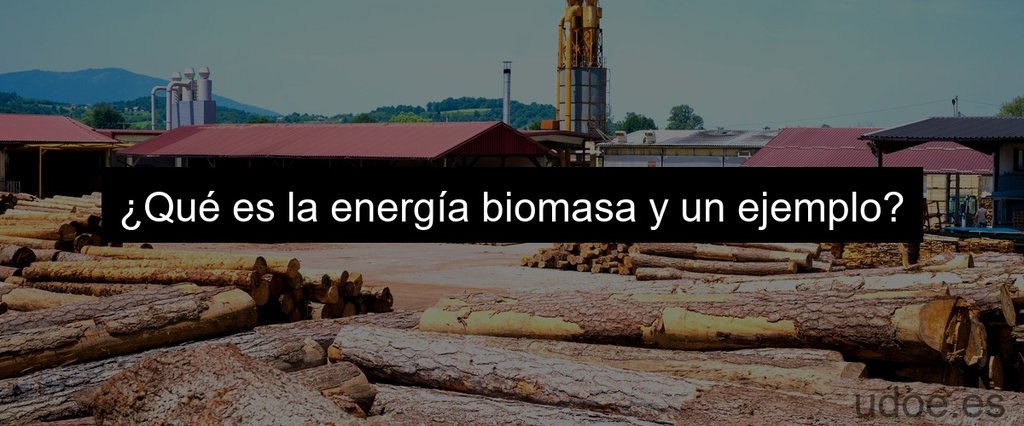 ¿Qué es la energía biomasa y un ejemplo?