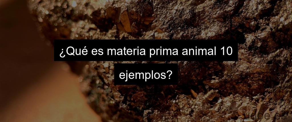 ¿Qué es materia prima animal 10 ejemplos?