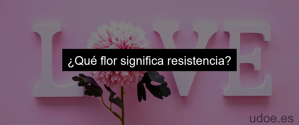¿Qué flor significa resistencia?
