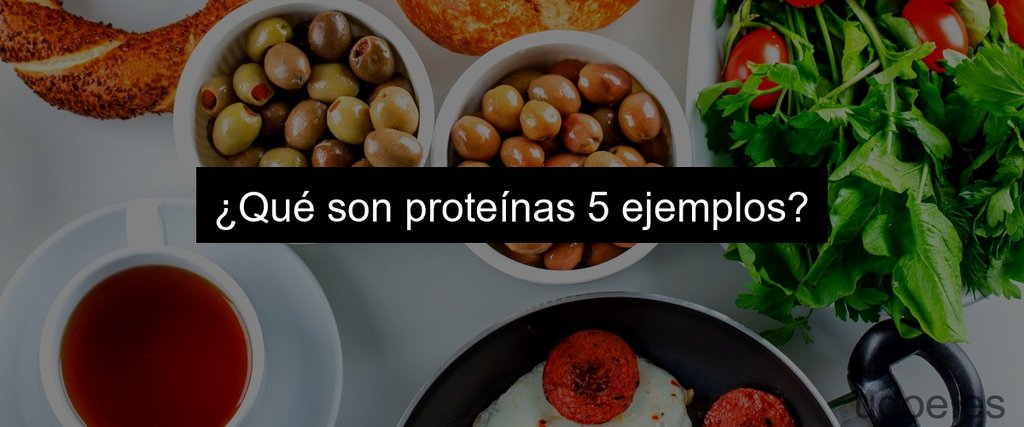 ¿Qué son proteínas 5 ejemplos?