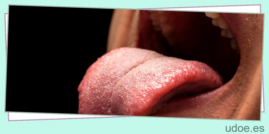 Venas debajo de la lengua: Causas y tratamiento - 41 - agosto 23, 2023