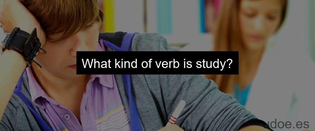 What kind of verb is study?