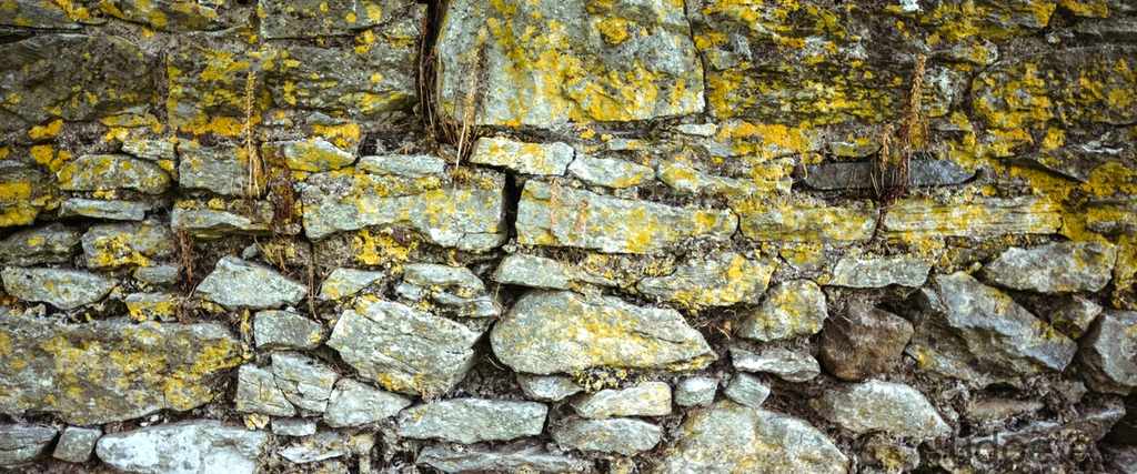 Piedra excavada en Skyrim: todo lo que necesitas saber - 3 - octubre 22, 2023