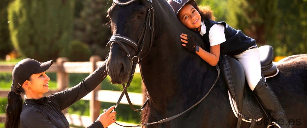 Soñar con caballos negros: el significado detrás de tus sueños - 3 - octubre 3, 2023