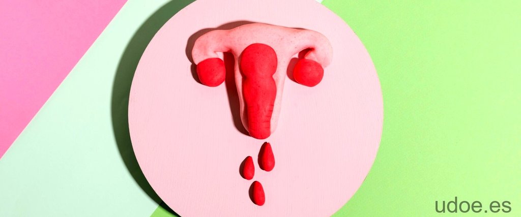 Por qué me duelen los ovarios al masturbarme - 15 - septiembre 18, 2023