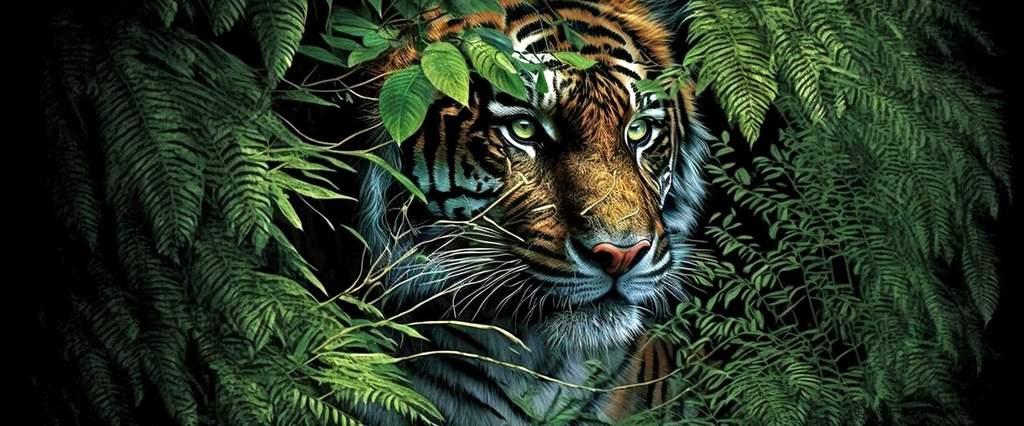 3. "Tiger Tales 1 PB y sus increíbles hazañas en la jungla"